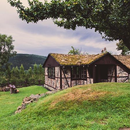 Willa Z Gwarantowanym Widokiem Na Gory Aleksander Panorama Świeradów-Zdrój Extérieur photo
