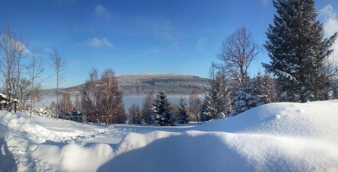 Willa Z Gwarantowanym Widokiem Na Gory Aleksander Panorama Świeradów-Zdrój Extérieur photo