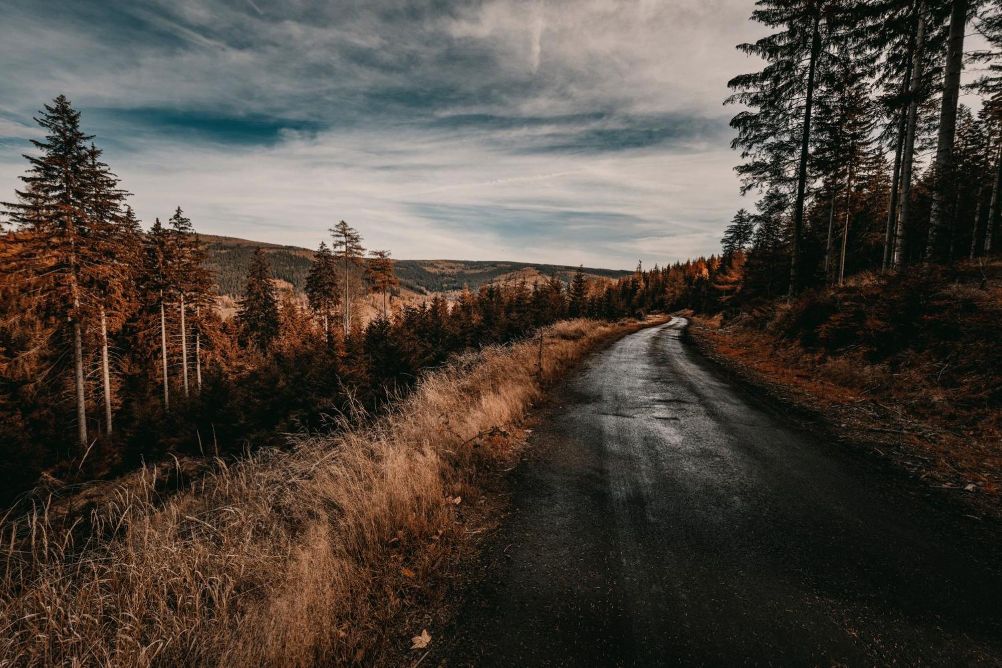 Willa Z Gwarantowanym Widokiem Na Gory Aleksander Panorama Świeradów-Zdrój Extérieur photo