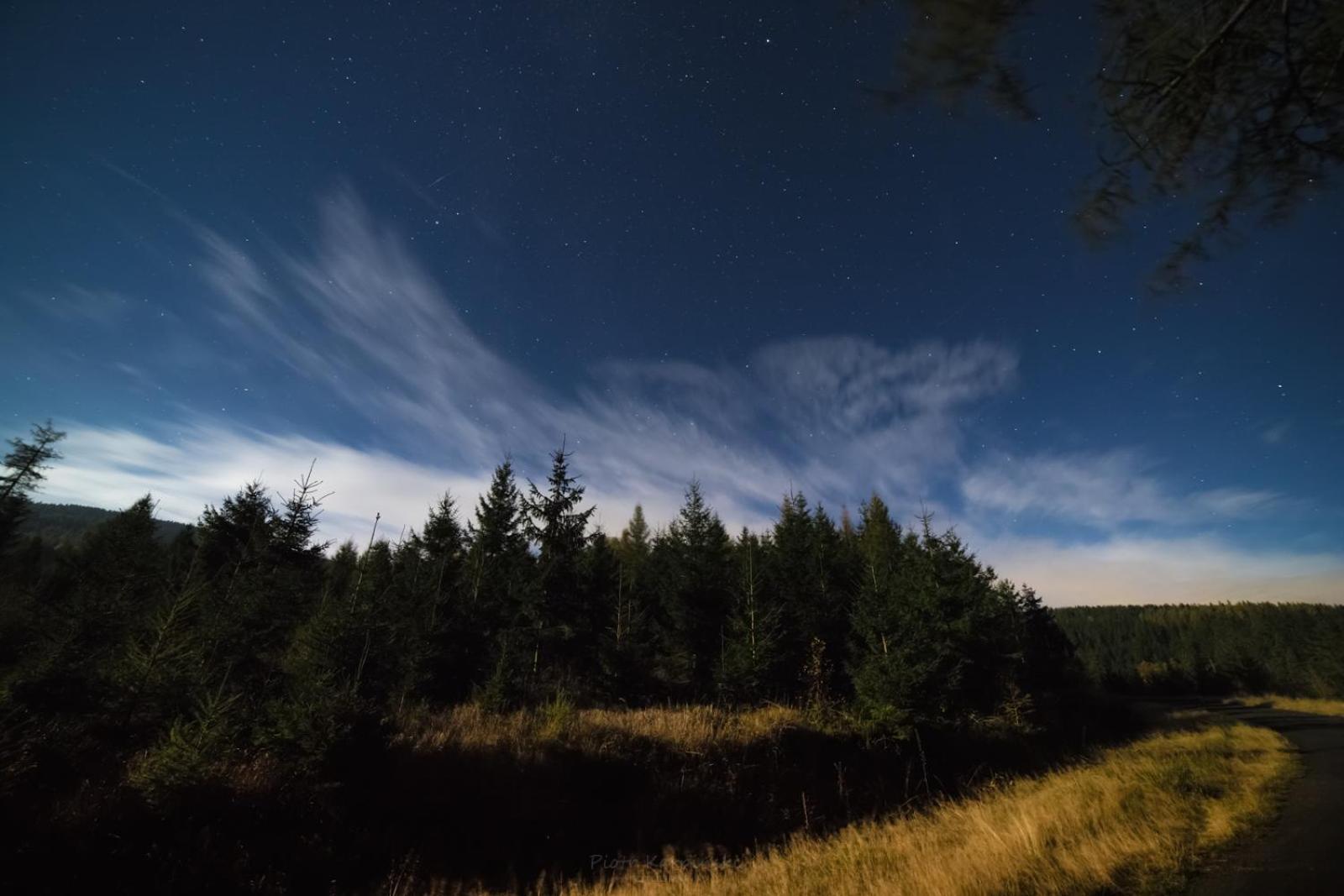 Willa Z Gwarantowanym Widokiem Na Gory Aleksander Panorama Świeradów-Zdrój Extérieur photo