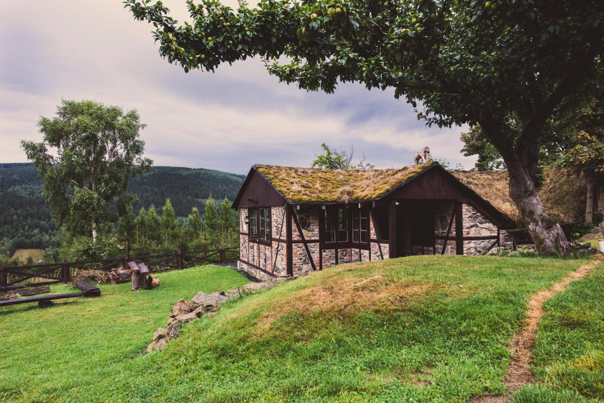 Willa Z Gwarantowanym Widokiem Na Gory Aleksander Panorama Świeradów-Zdrój Extérieur photo