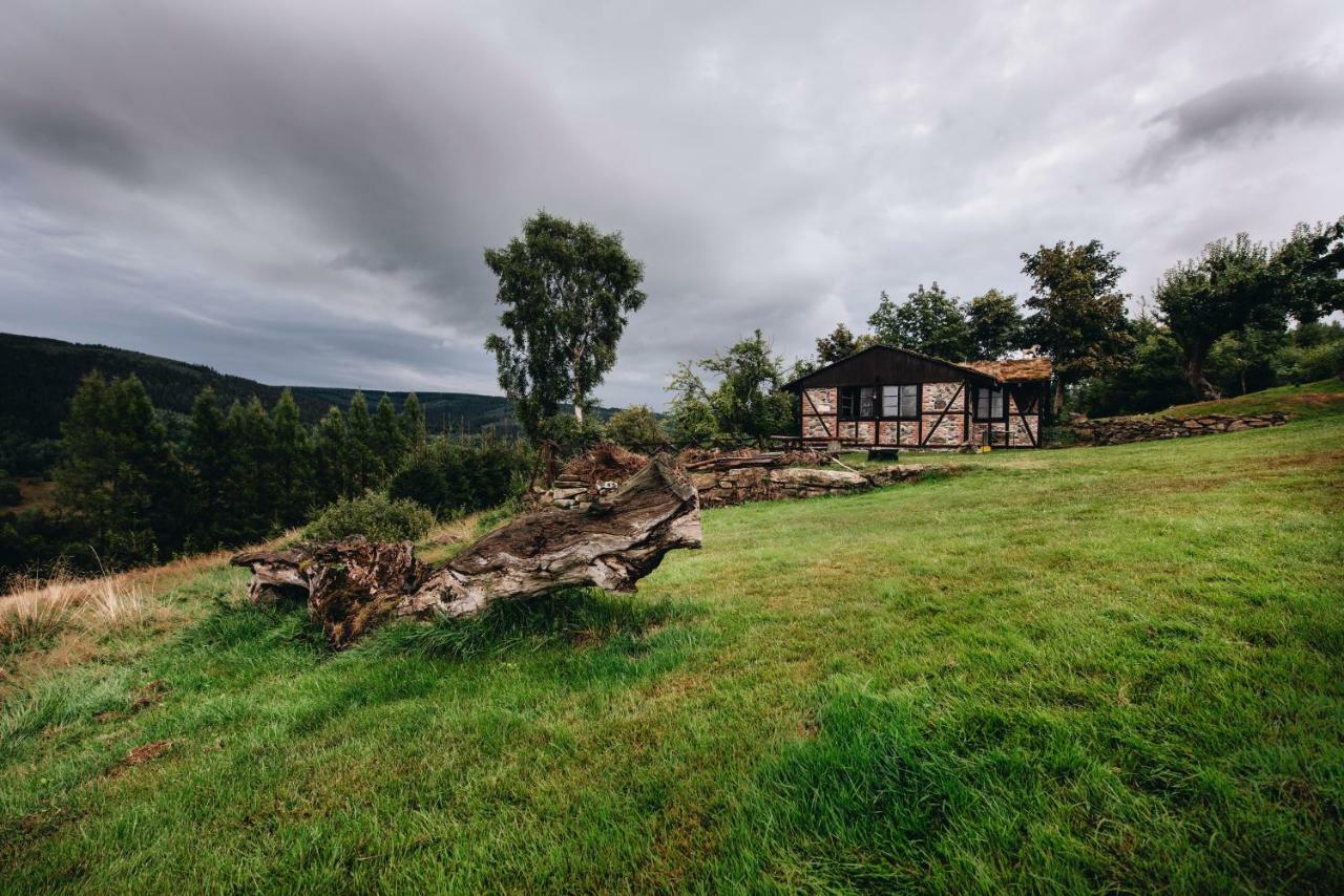 Willa Z Gwarantowanym Widokiem Na Gory Aleksander Panorama Świeradów-Zdrój Extérieur photo